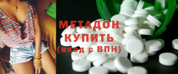 индика Алексин