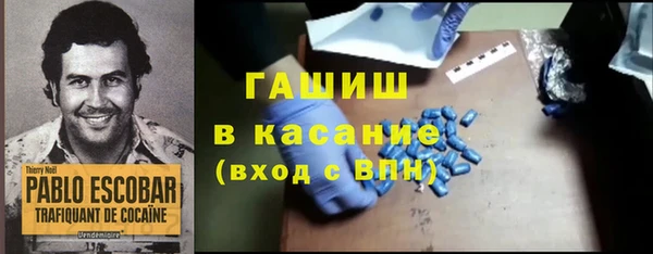 индика Алексин