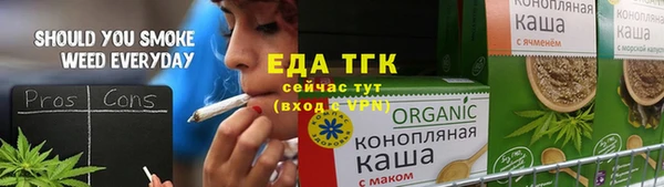 индика Алексин