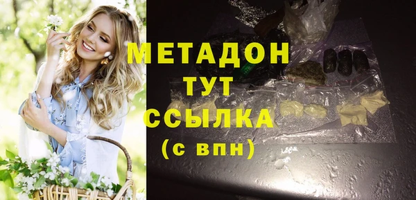 индика Алексин