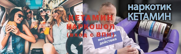 индика Алексин