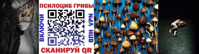 Псилоцибиновые грибы ЛСД  hydra вход  Кондопога 