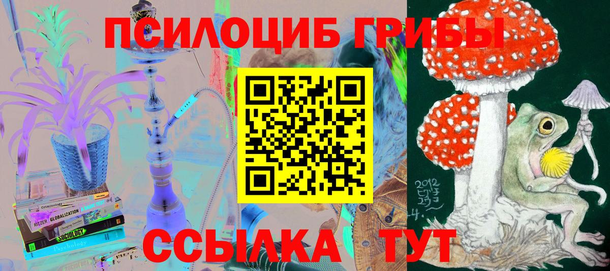 Псилоцибиновые грибы Psilocybine cubensis  Вход с VPN  Кондопога 